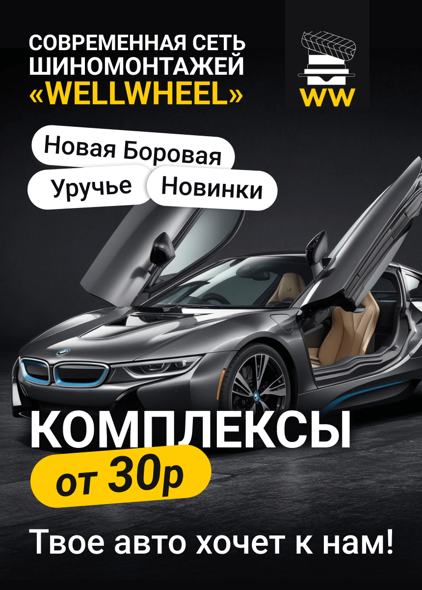 WellWheel (ПИТСТОППРЕМЬЕР)