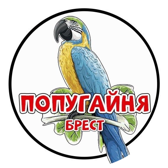 Посещение попугайни за 17 р/чел. в Бресте