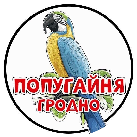 Посещение попугайни за 17 р/чел. в Гродно