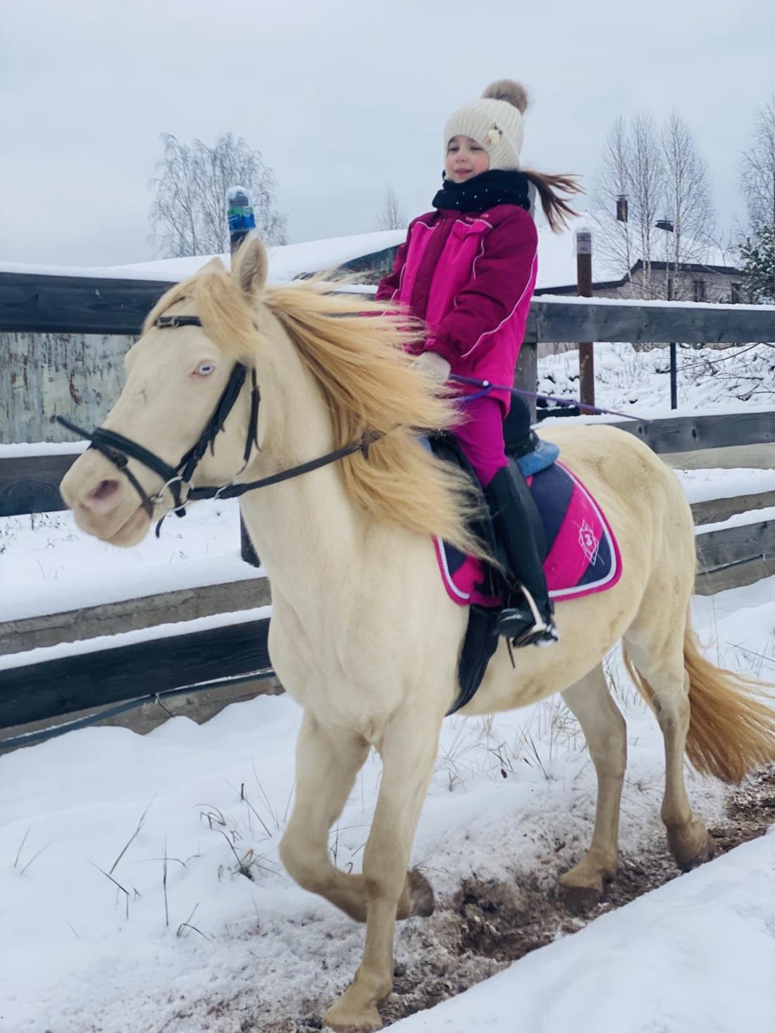 Смотрите, какая акция: конные прогулки, обучение верховой езде, прогулка +  фотосессия со скидкой до 50% от Slivki.by!